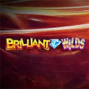 Briliant Wilds